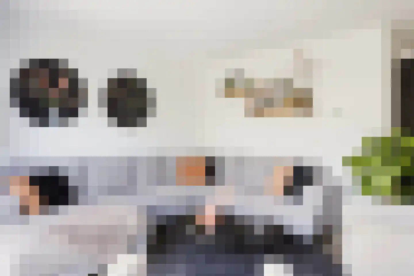 Giebelhof 2 Papendrecht thumbnail 9