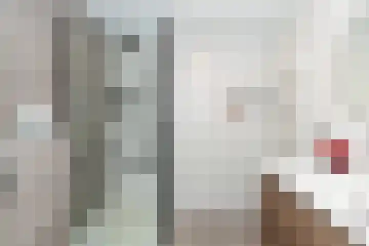 Giebelhof 8 Papendrecht thumbnail 19