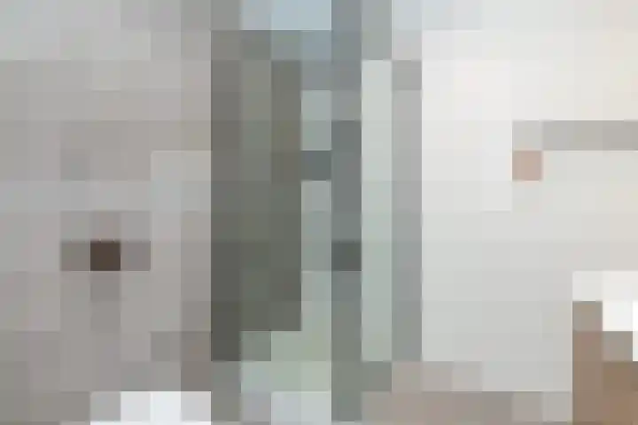 Giebelhof 8 Papendrecht thumbnail 21