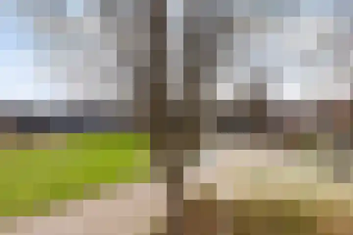 Giebelhof 8 Papendrecht thumbnail 26