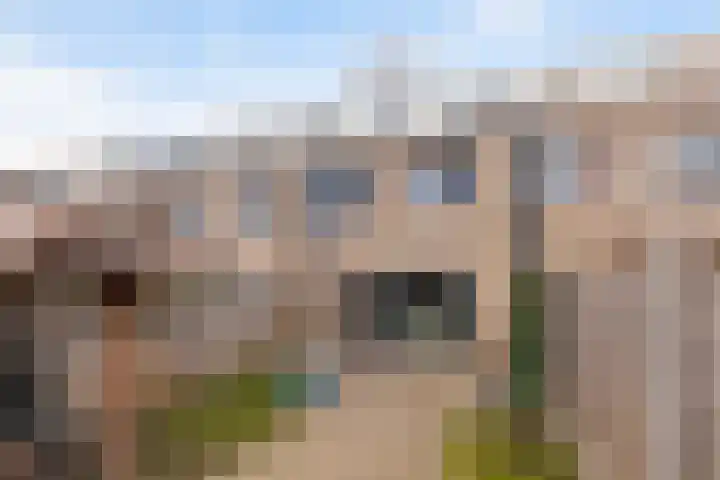 Giebelhof 8 Papendrecht thumbnail 29