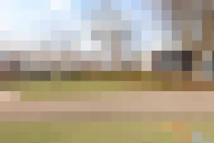Giebelhof 8 Papendrecht thumbnail 34