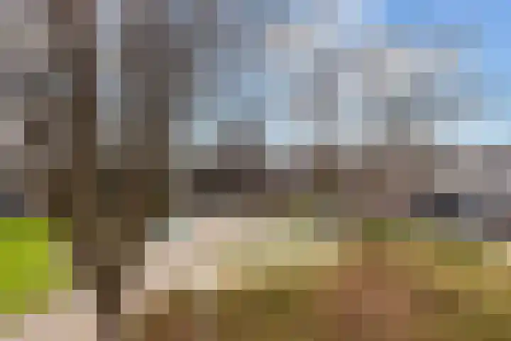 Giebelhof 8 Papendrecht thumbnail 36