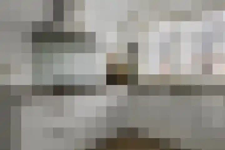 Giek 11 Meppel thumbnail 12