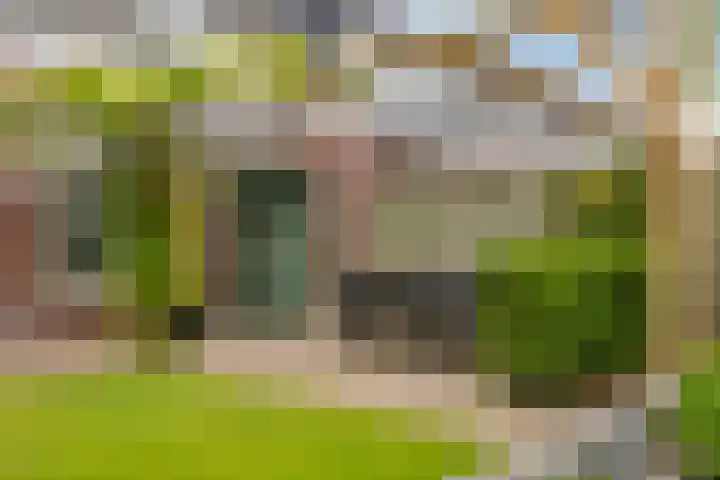 Giek 11 Meppel thumbnail 31