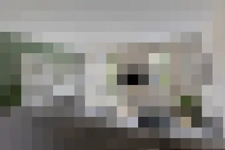 Giek 11 Meppel thumbnail 6