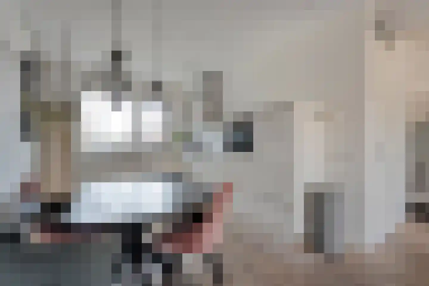 Giek 12 Meppel thumbnail 15