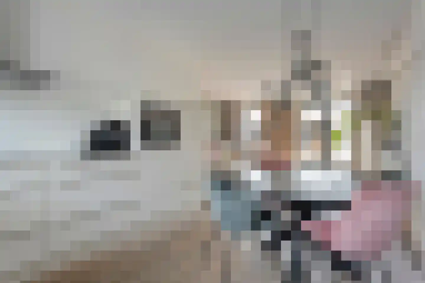 Giek 12 Meppel thumbnail 16