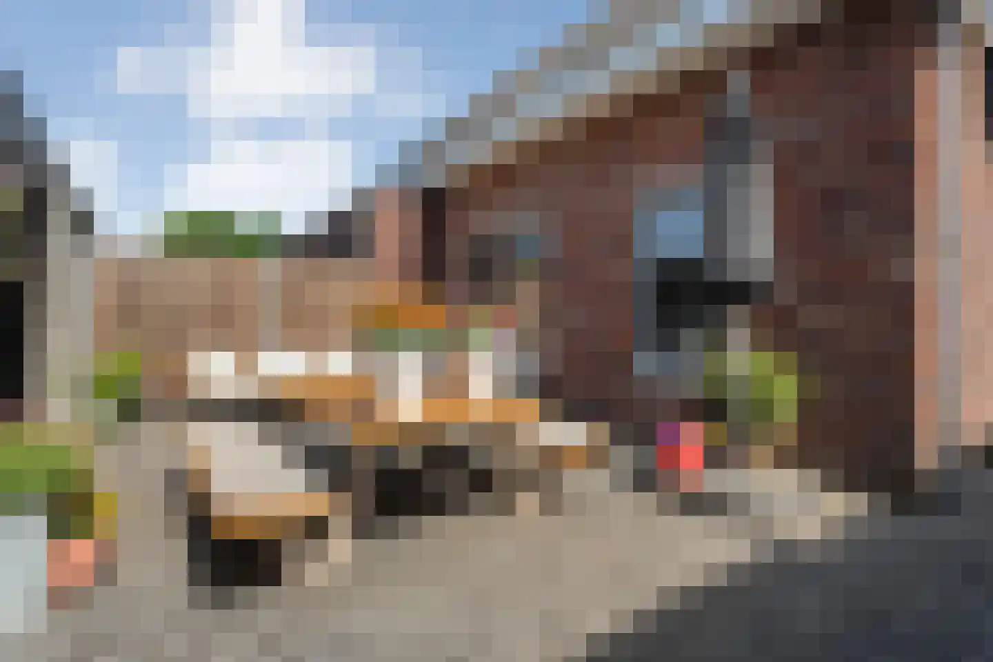 Giek 12 Meppel thumbnail 33