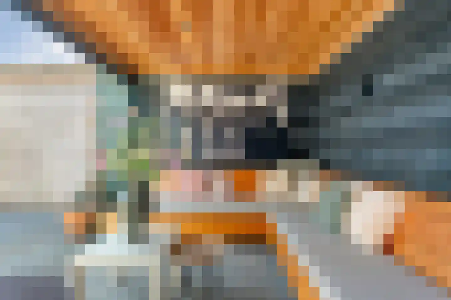 Giek 12 Meppel thumbnail 35