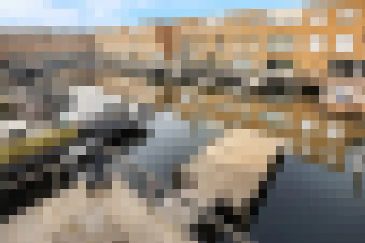 Giek 15 Almere thumbnail 31