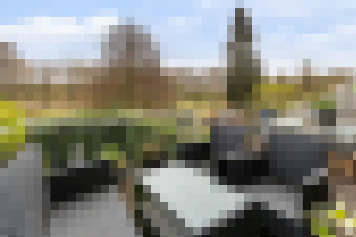 Giek 42 Huizen thumbnail 11