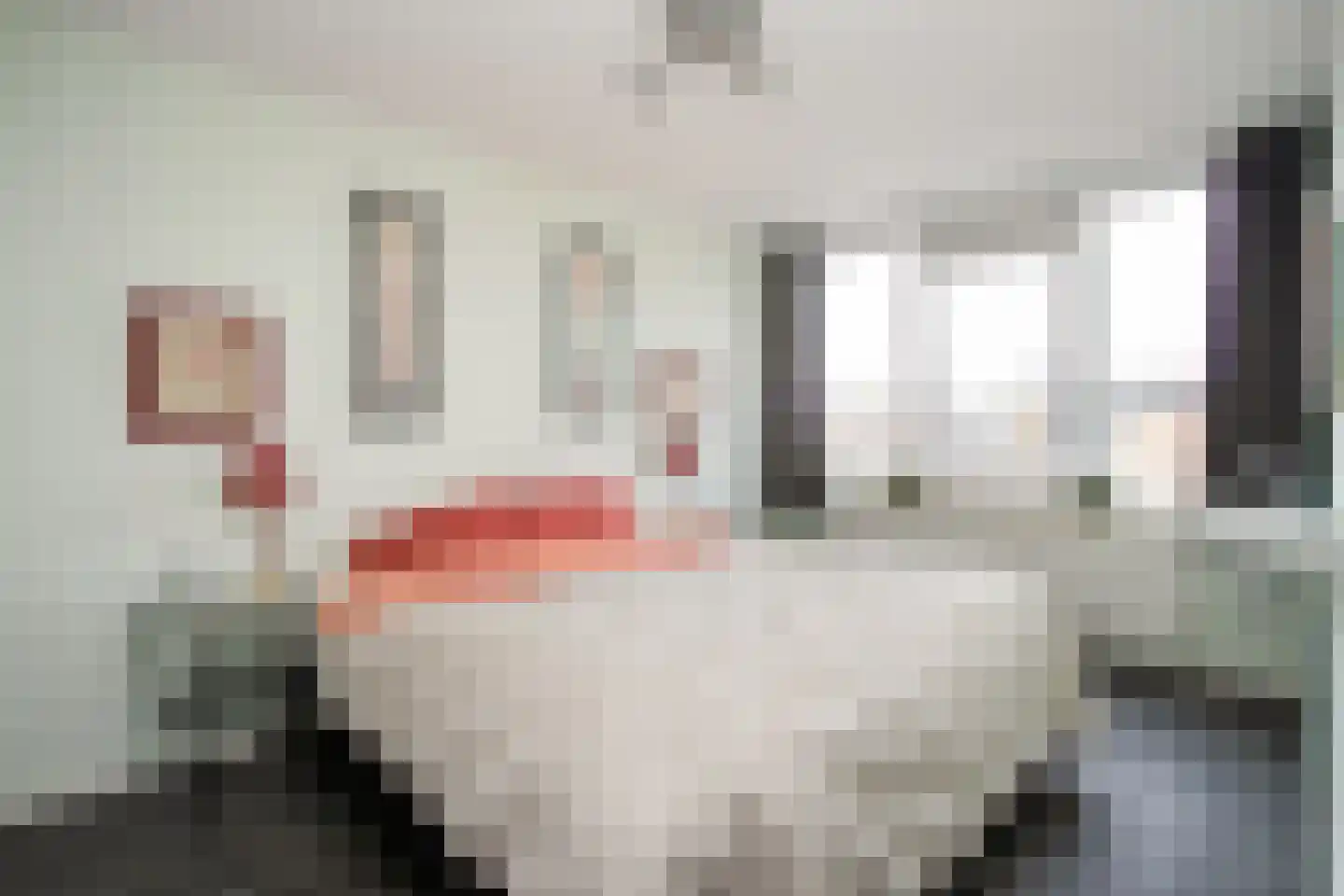 Giek 42 Huizen thumbnail 18