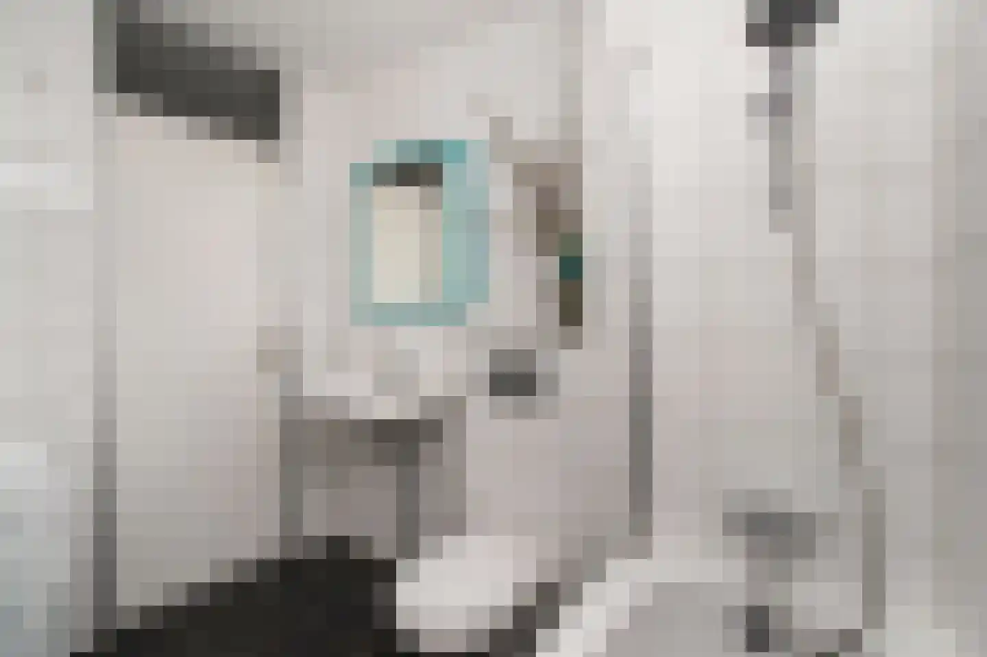 Giek 42 Huizen thumbnail 20
