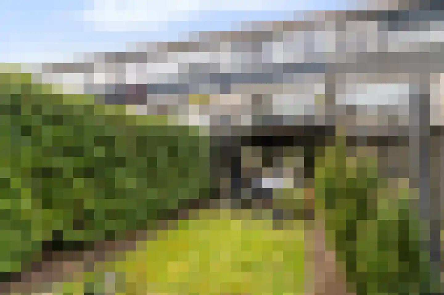Giek 42 Huizen thumbnail 7