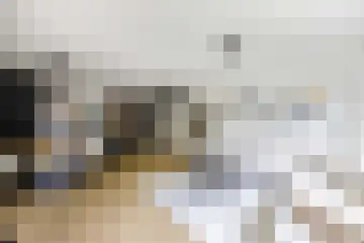 Giek 54 Huizen thumbnail 14