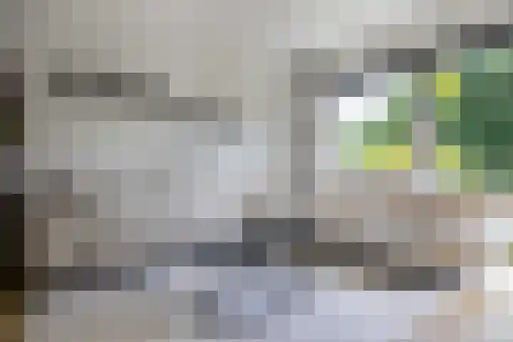 Giek 54 Huizen thumbnail 15