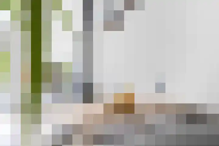 Giek 54 Huizen thumbnail 18