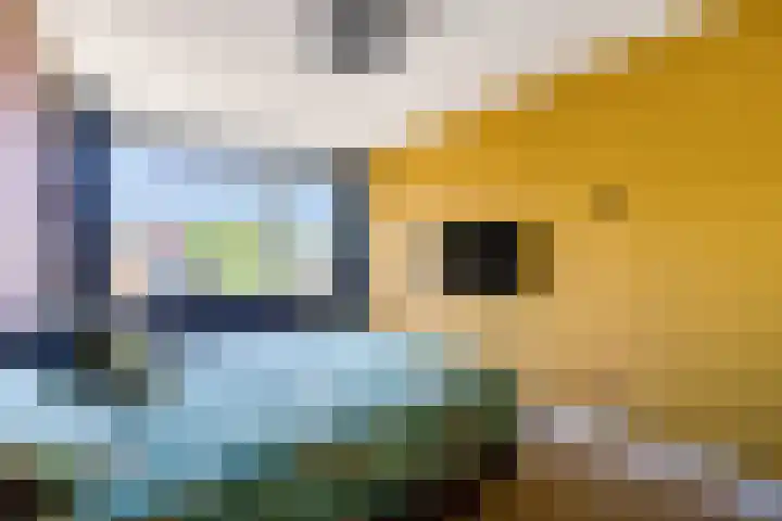 Giek 54 Huizen thumbnail 23