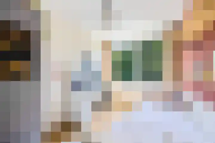 Giek 54 Huizen thumbnail 27