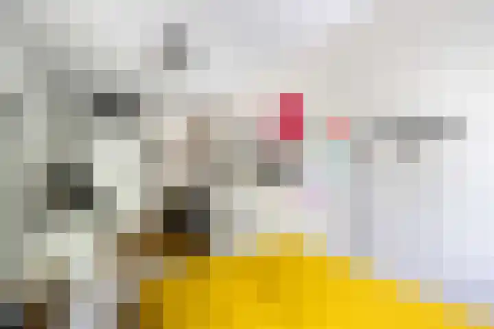 Giek 54 Huizen thumbnail 35