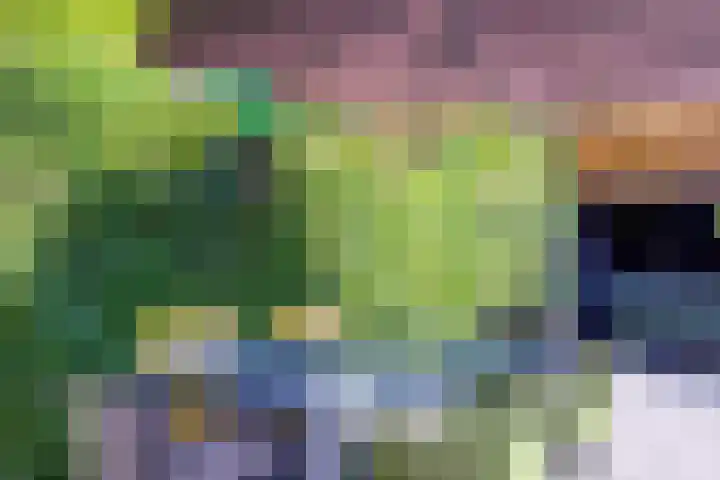 Giek 54 Huizen thumbnail 37