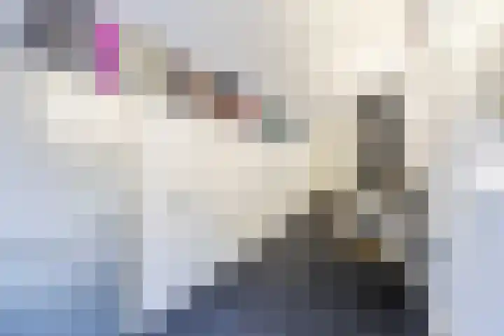 Giek 54 Huizen thumbnail 42