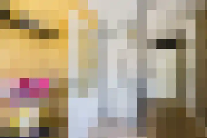 Giek 54 Huizen thumbnail 5
