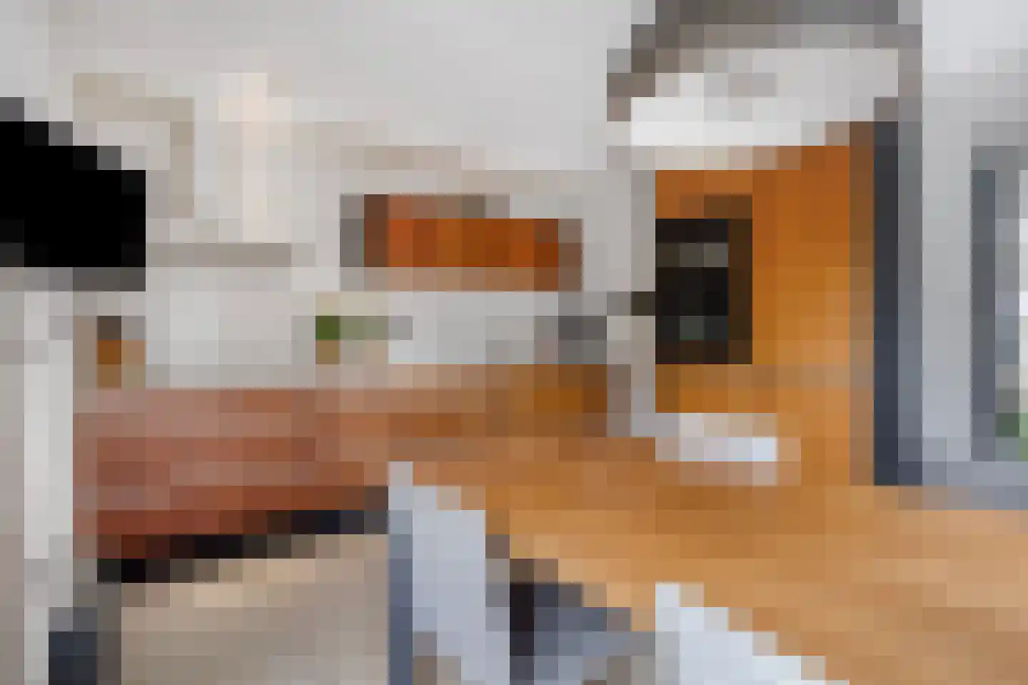 Giek 6 Almere thumbnail 14