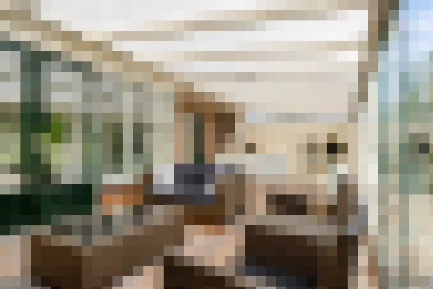 Giek 68 Elburg thumbnail 35