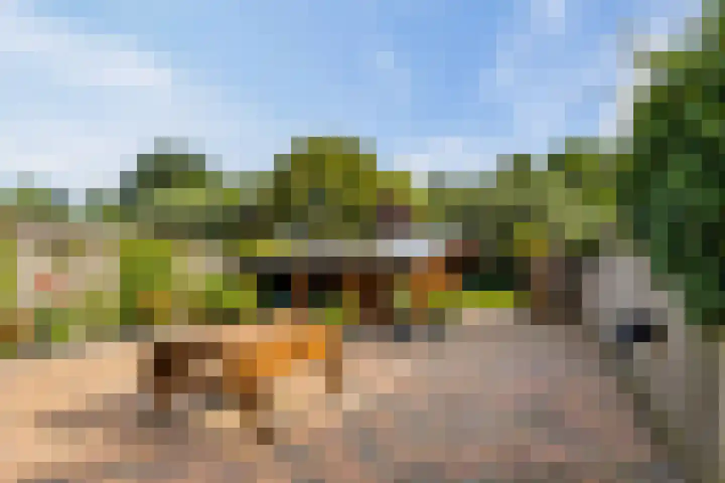 Giek 68 Elburg thumbnail 54