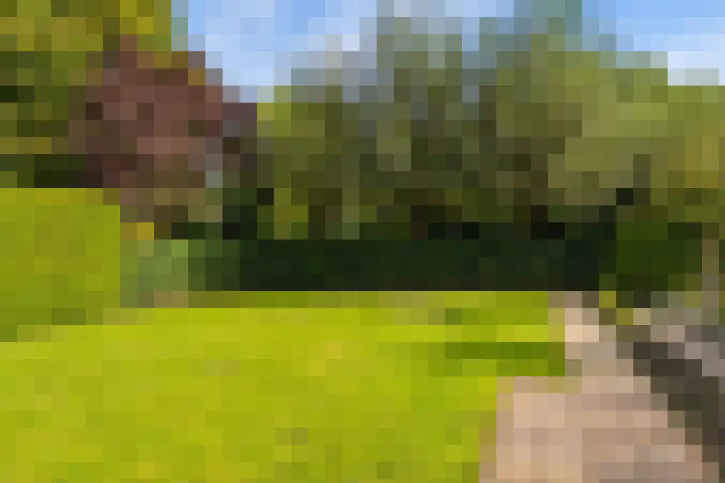 Giek 68 Elburg thumbnail 64