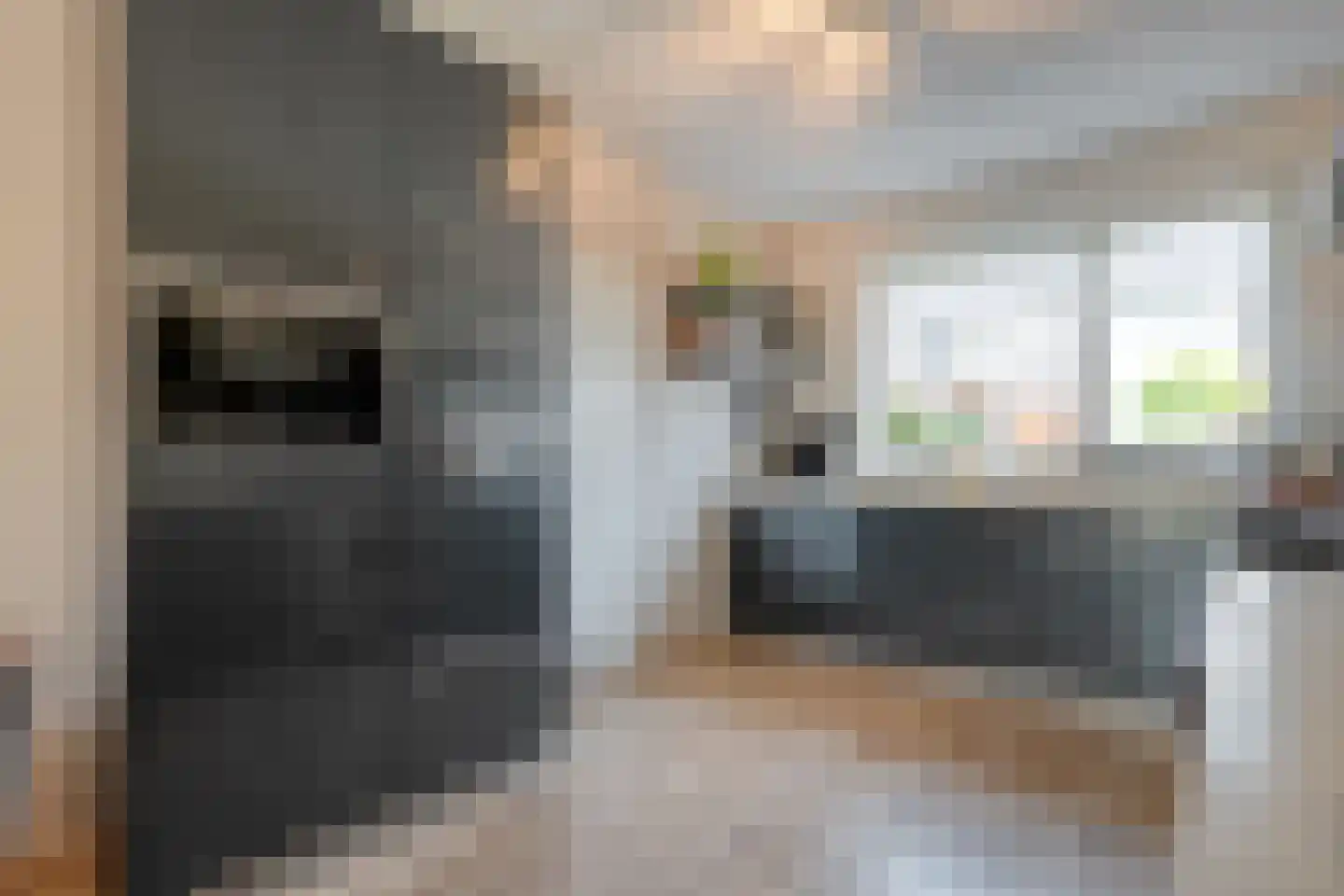 Giek 9 Meppel thumbnail 10