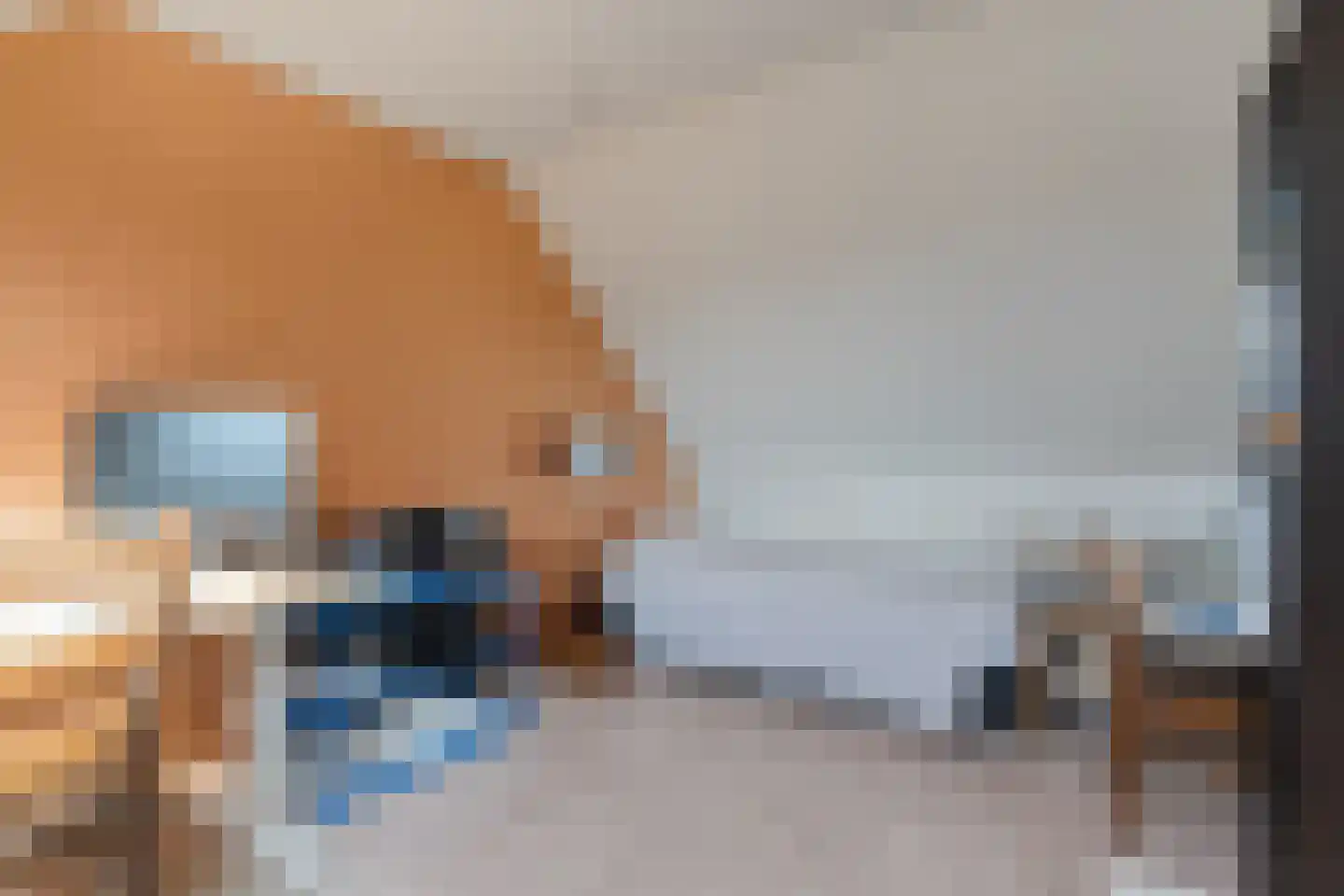 Giek 9 Meppel thumbnail 27