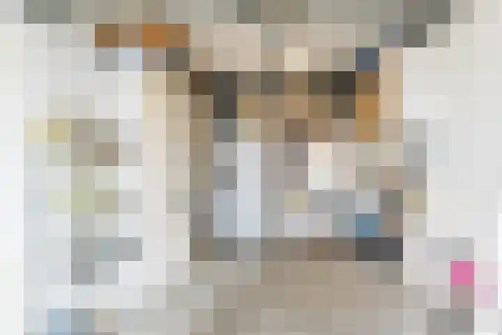 Giekerkstraat 20 Tilburg thumbnail 31