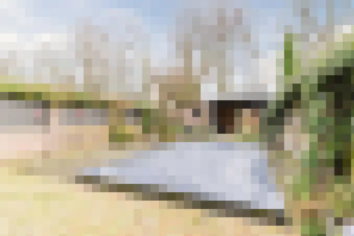 Giekerkstraat 20 Tilburg thumbnail 36