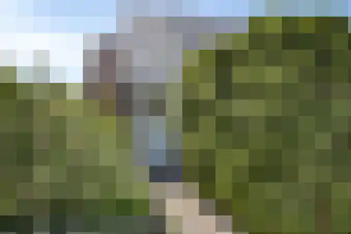 Giekstraat 22 Maasbracht thumbnail 23