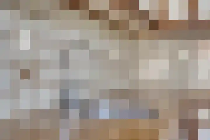 Giekstraat 22 Maasbracht thumbnail 9