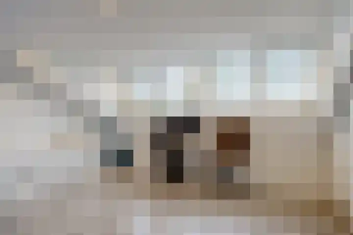 Giekstraat 6 Kudelstaart thumbnail 19