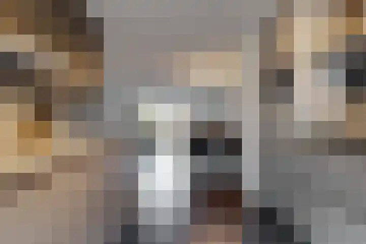 Giekstraat 6 Kudelstaart thumbnail 4