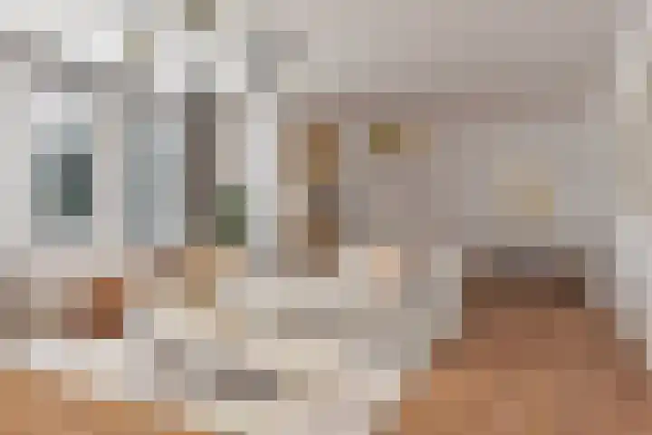 Giekwerf 6 Zoetermeer thumbnail 10