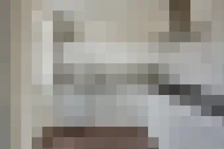 Giekwerf 6 Zoetermeer thumbnail 11