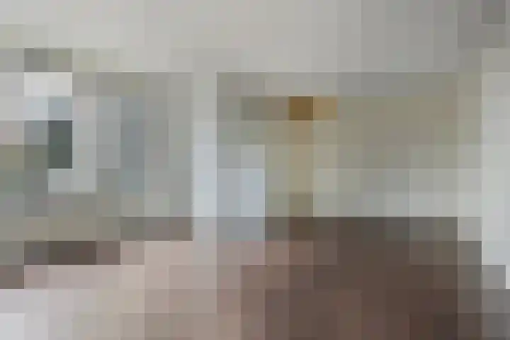 Giekwerf 6 Zoetermeer thumbnail 9