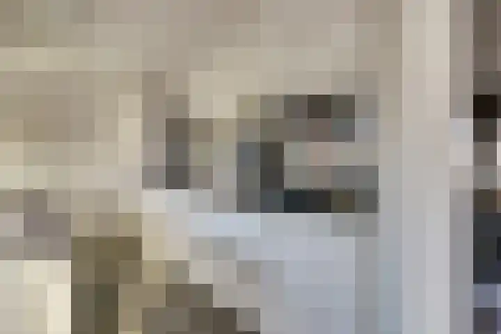 Gielenhofweg 10 Egchel thumbnail 15