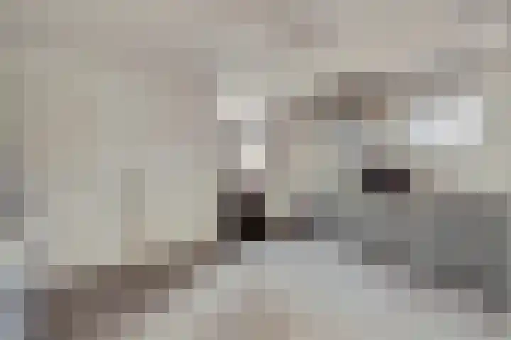 Gielenhofweg 10 Egchel thumbnail 18