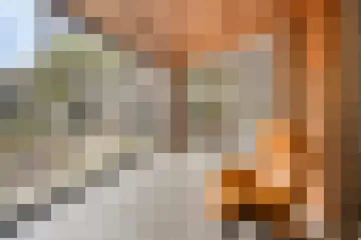 Gielenkamp 9 Wellerlooi thumbnail 17