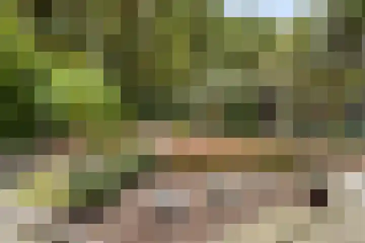 Gielenkamp 9 Wellerlooi thumbnail 26