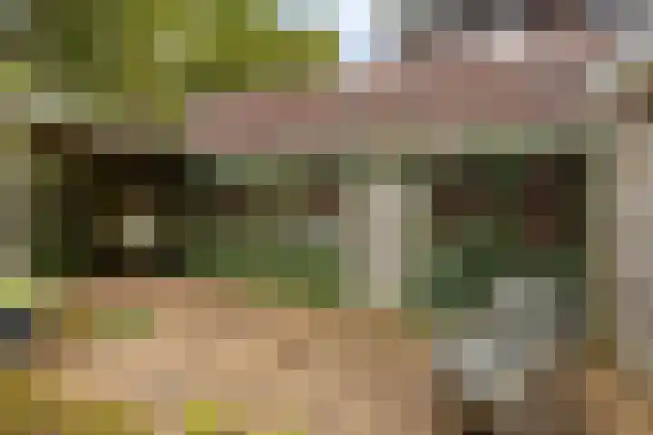 Gielenkamp 9 Wellerlooi thumbnail 27
