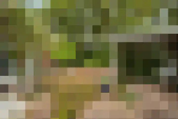 Gielenkamp 9 Wellerlooi thumbnail 28
