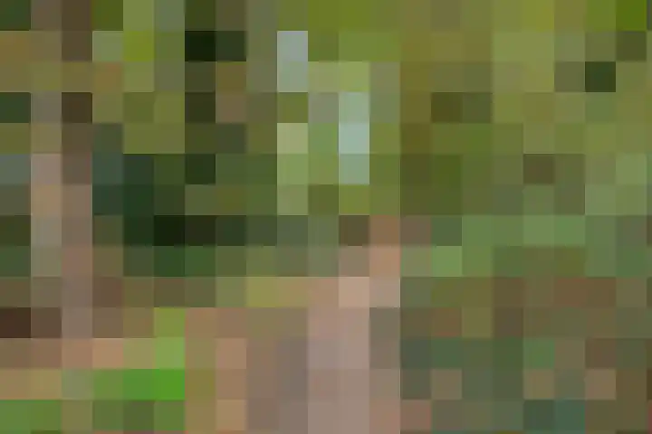 Gielenkamp 9 Wellerlooi thumbnail 29